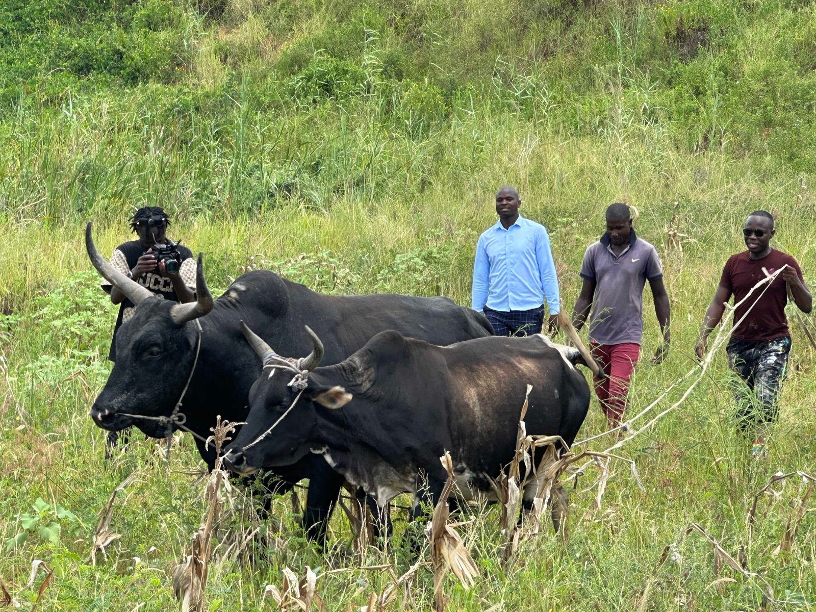 431502786_2558760117636338_6429045383970694516_n